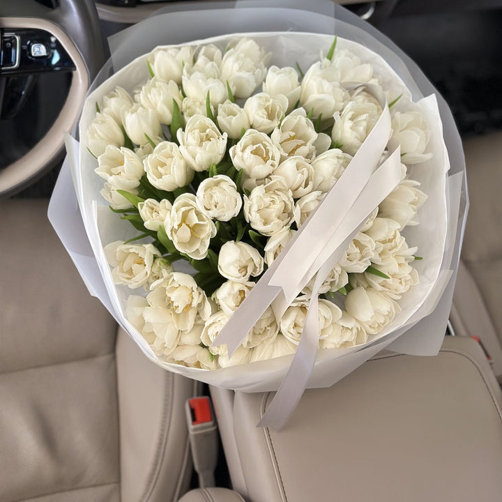 Ivory Dreams