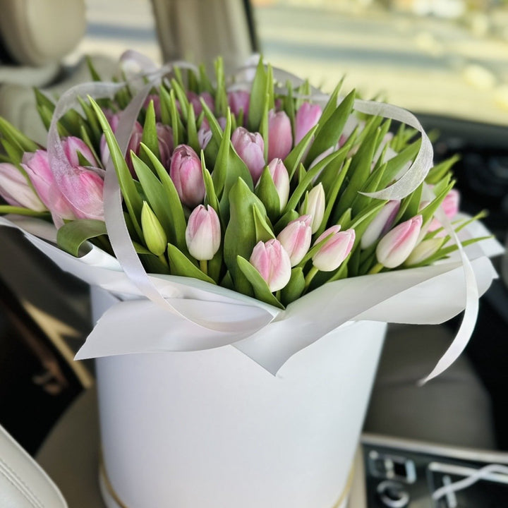 Pink Whisper Tulips