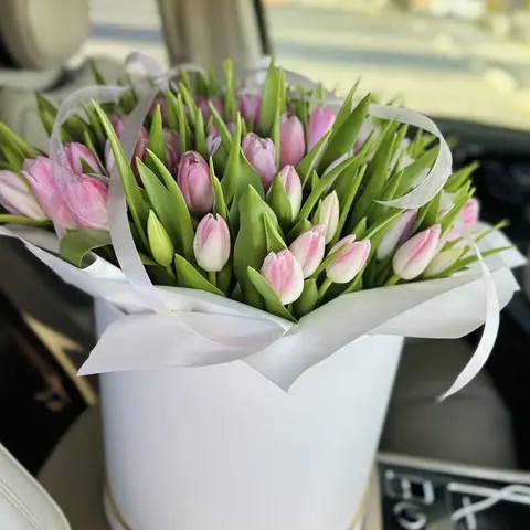 Pink Whisper Tulips, 60 pink tulips, Aroma Flowers Las Vegas